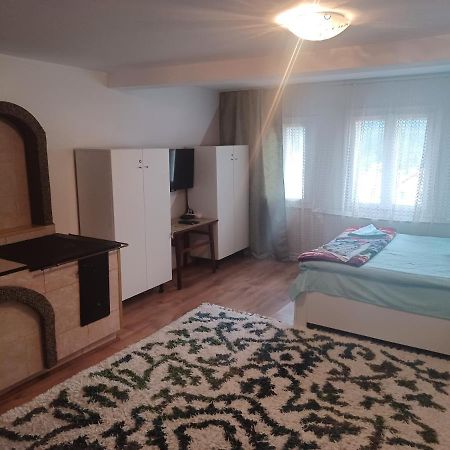 Casa Bucovina Dorna Candrenilor Ascutitele Exteriör bild