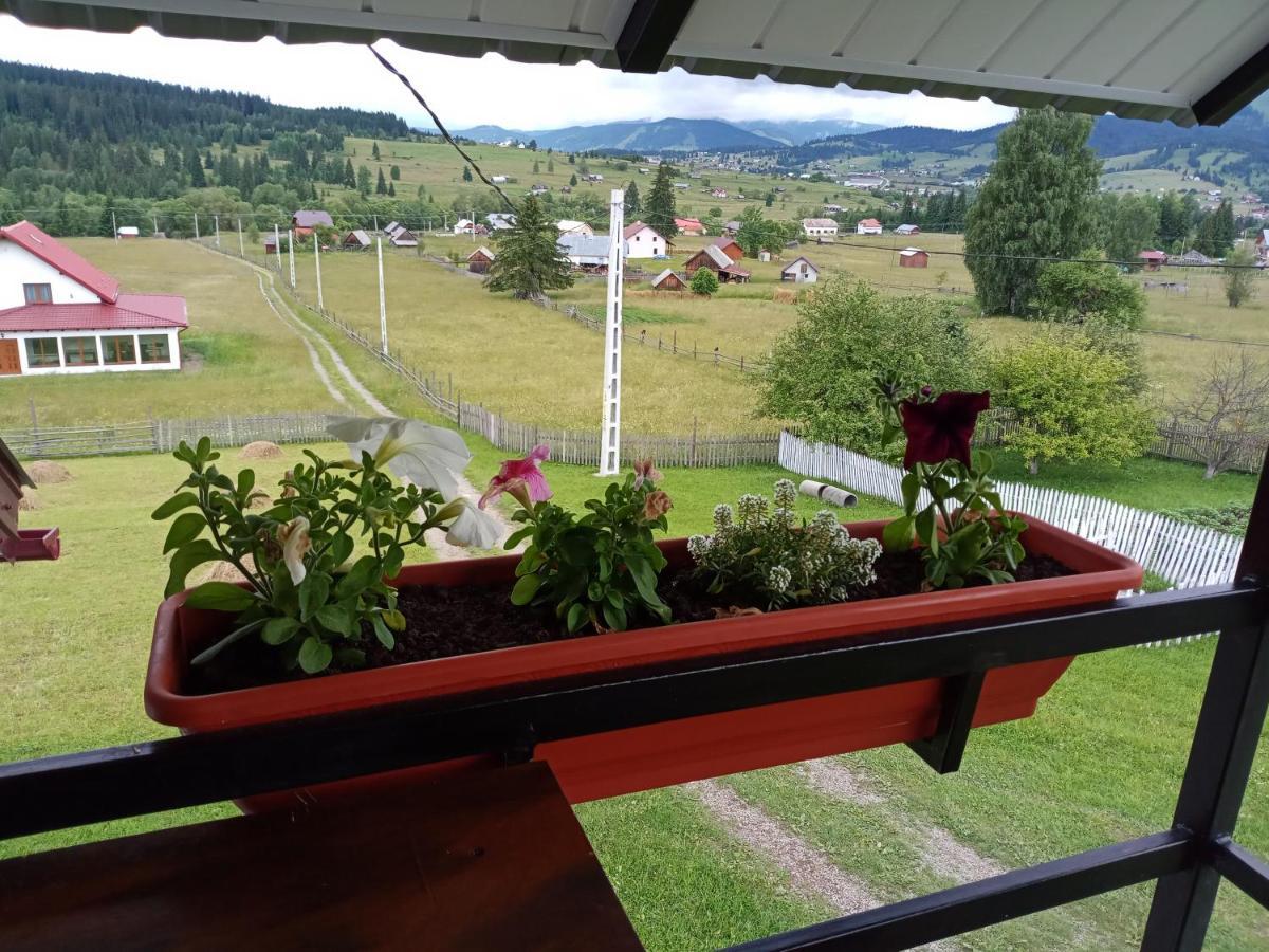 Casa Bucovina Dorna Candrenilor Ascutitele Exteriör bild