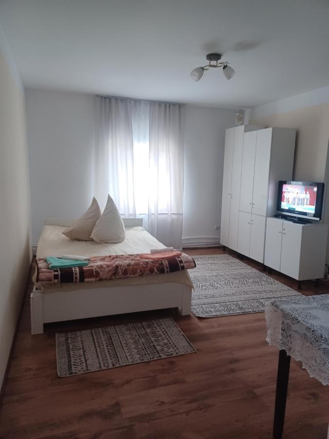 Casa Bucovina Dorna Candrenilor Ascutitele Exteriör bild